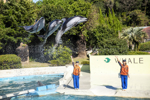 飼育の日だった4月19日【2023/4/21】