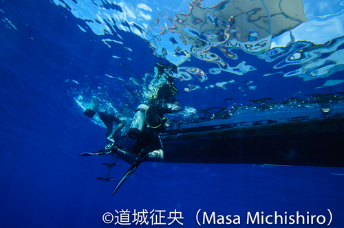 透明度の高さは世界一？！