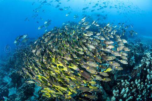 石原慎太郎元都知事の功績【2022/2/2】