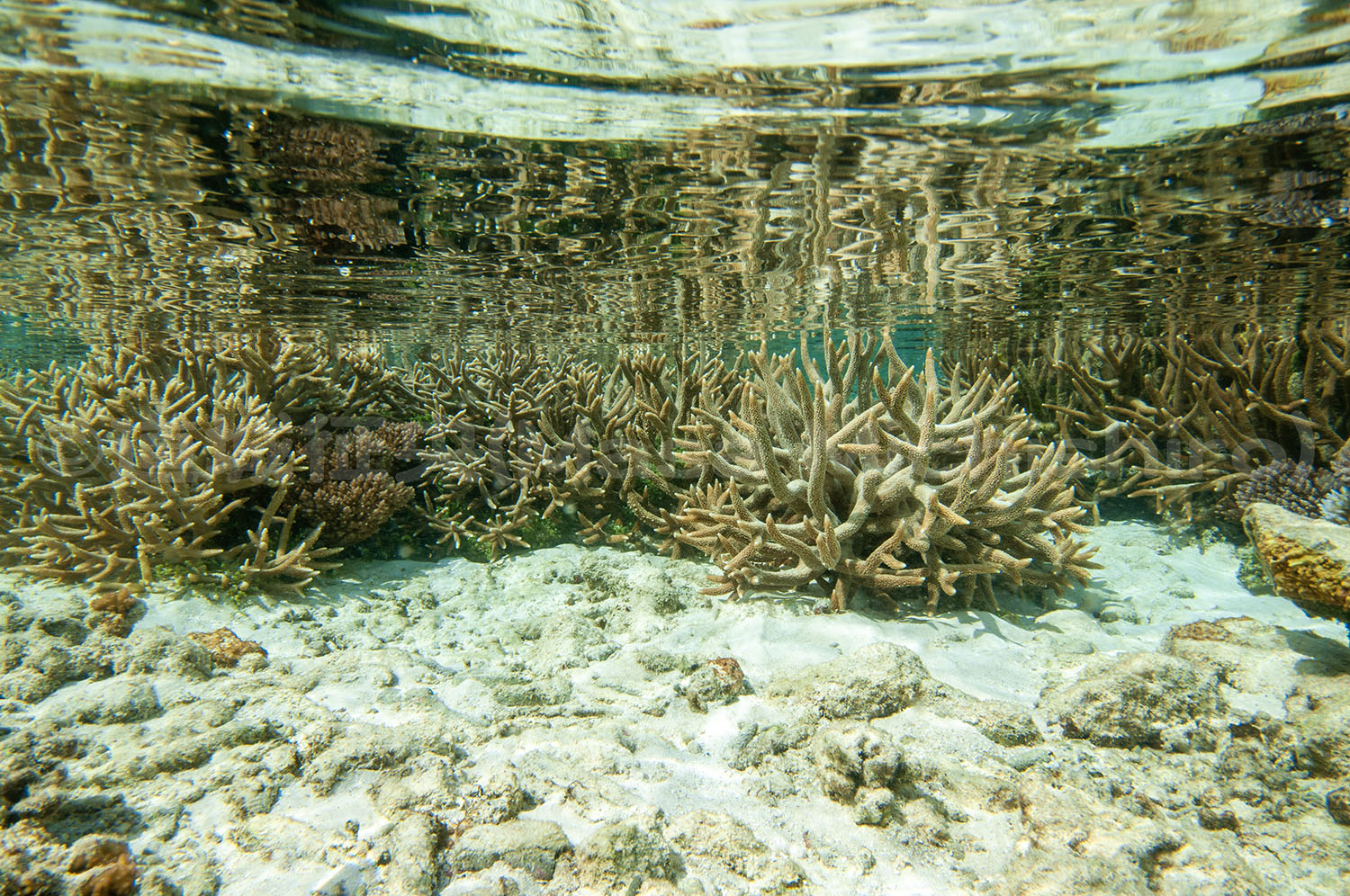 足下は危険注意