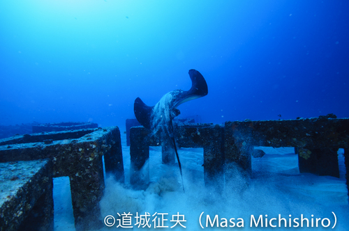 自然だから仕方ない