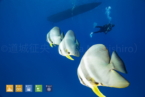 異星人のような魚