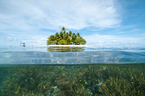 ジープ島から学ぶ人間のサイクル