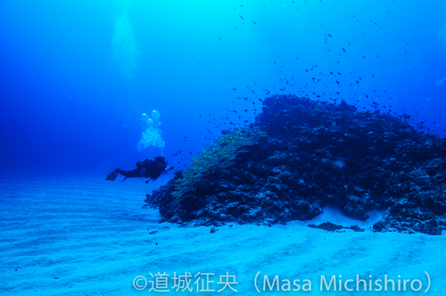 透明度の高い喜界島