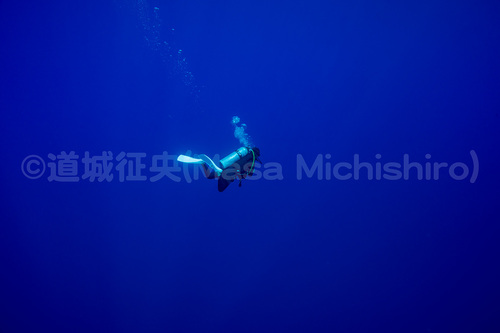 蒼く深い小笠原諸島