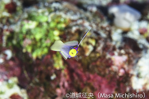 昨日とまったく同じなんですが･･････