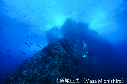 母島の慎太郎ポイント