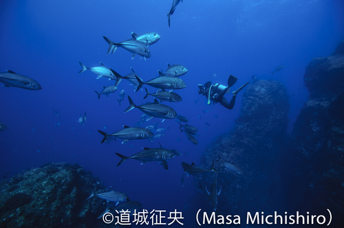 潮が止まると何もいない･･････