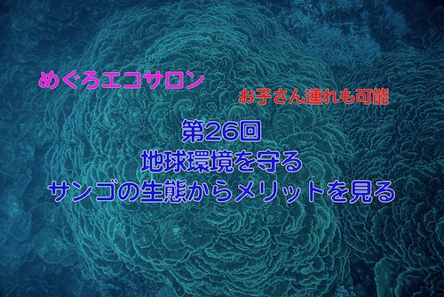 8月の『めぐろエコサロン』の案内