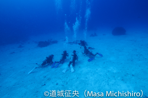 ジープ島ハウスリーフの深場