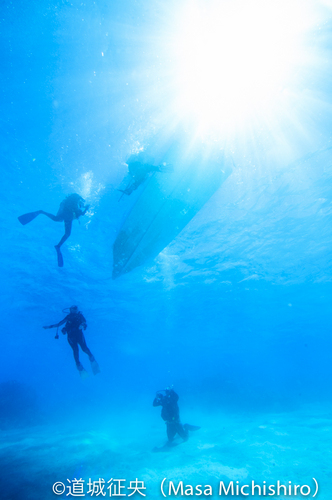 癒しの砂地ポイント