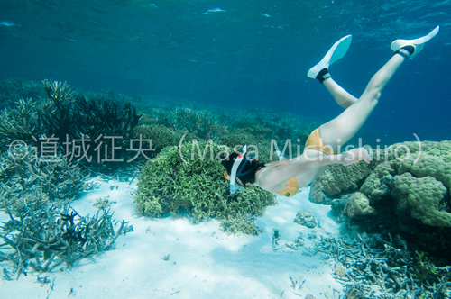 ジープ島をスノーケリングで楽しむ