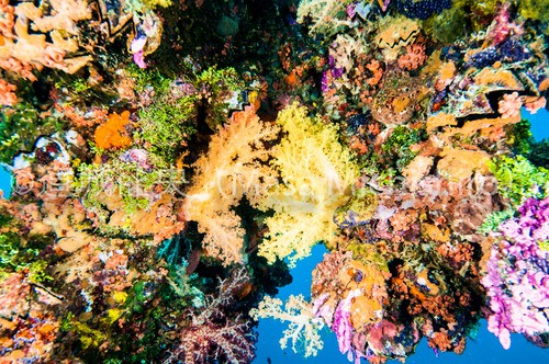 ピカソのアート？