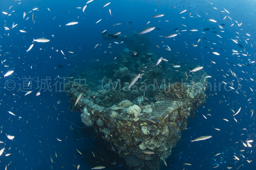富士川丸の船首