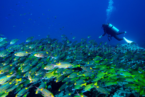 テッパンでも感動！