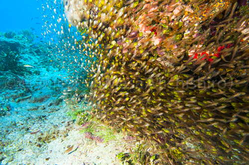 立ち入り禁止の海