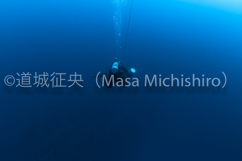 チュークのディープダイブ