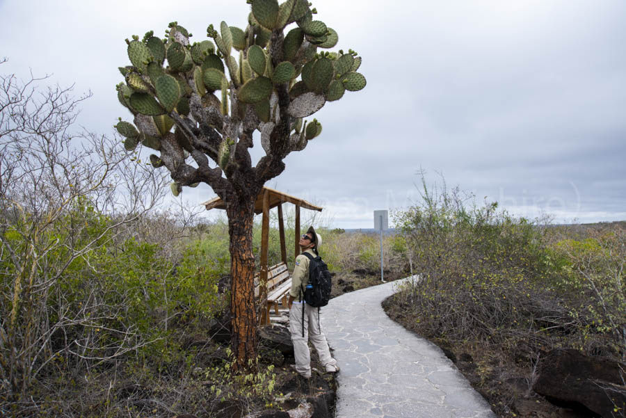 9月15日はダーウィン上陸の日【2021/9/16】
