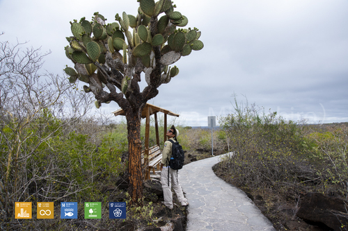 ガラパゴス諸島のガイド【2020/10/15】