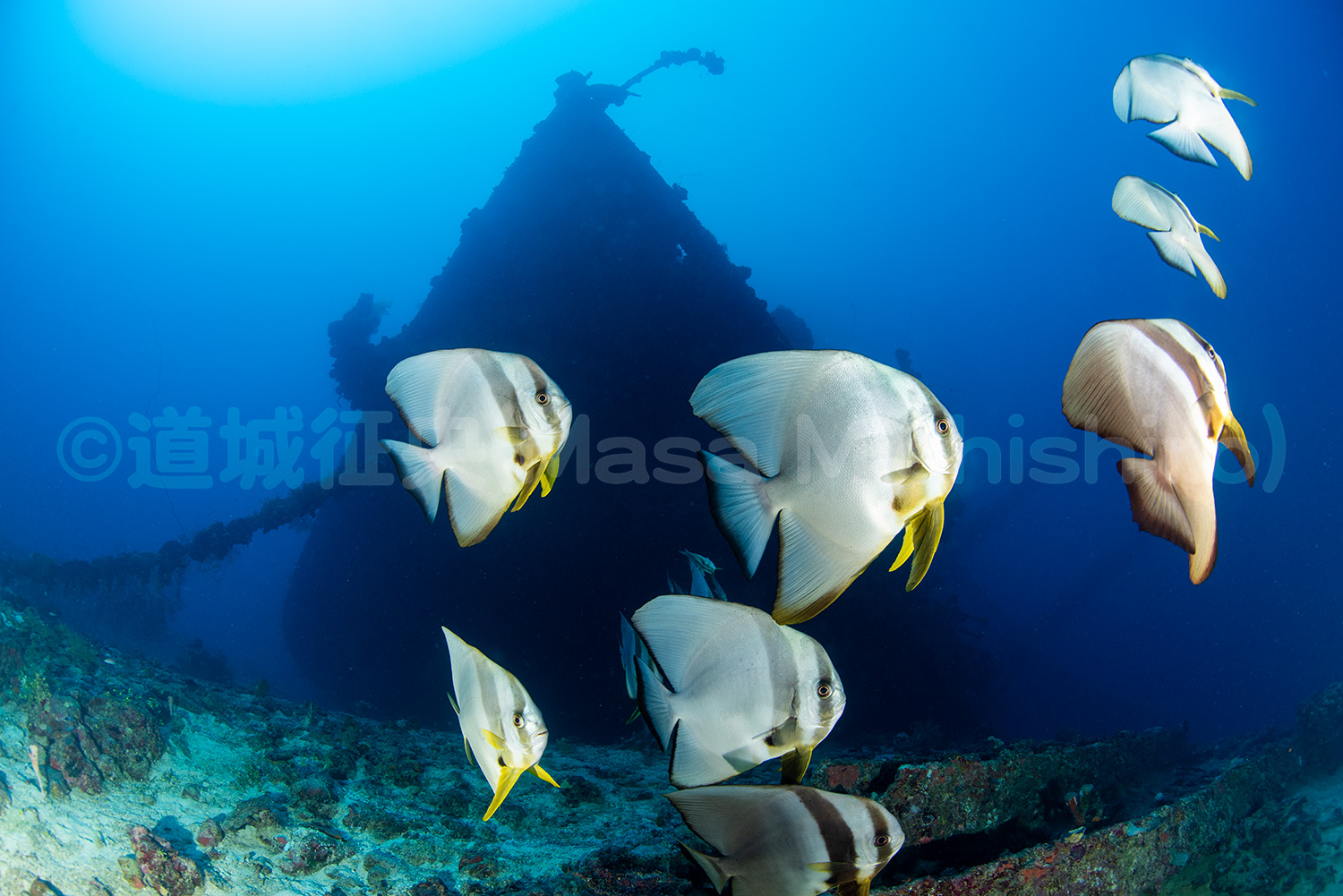 終戦記念日に思うこと【2023/8/15】