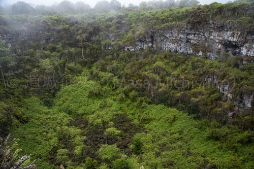 有り難み半減か？