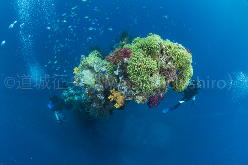 沈没船は歴史を語る