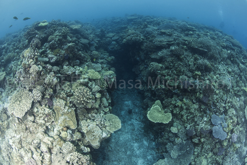 縁溝、縁脚と言った地形を見る