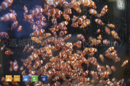 生き物を作る時代【2018/12/25】