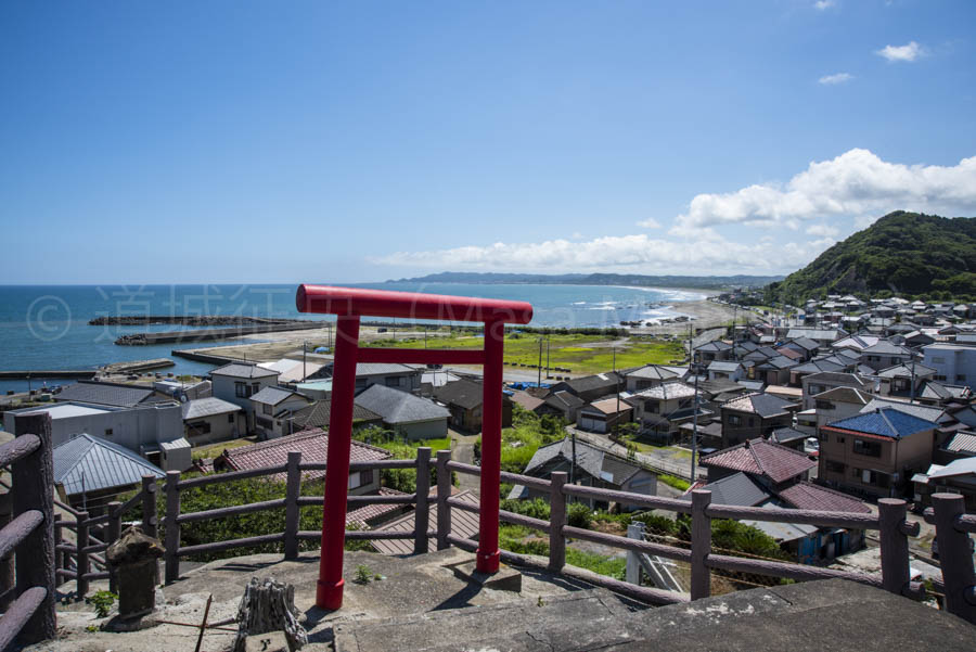 今日は「クジラの日」【2021/9/4】