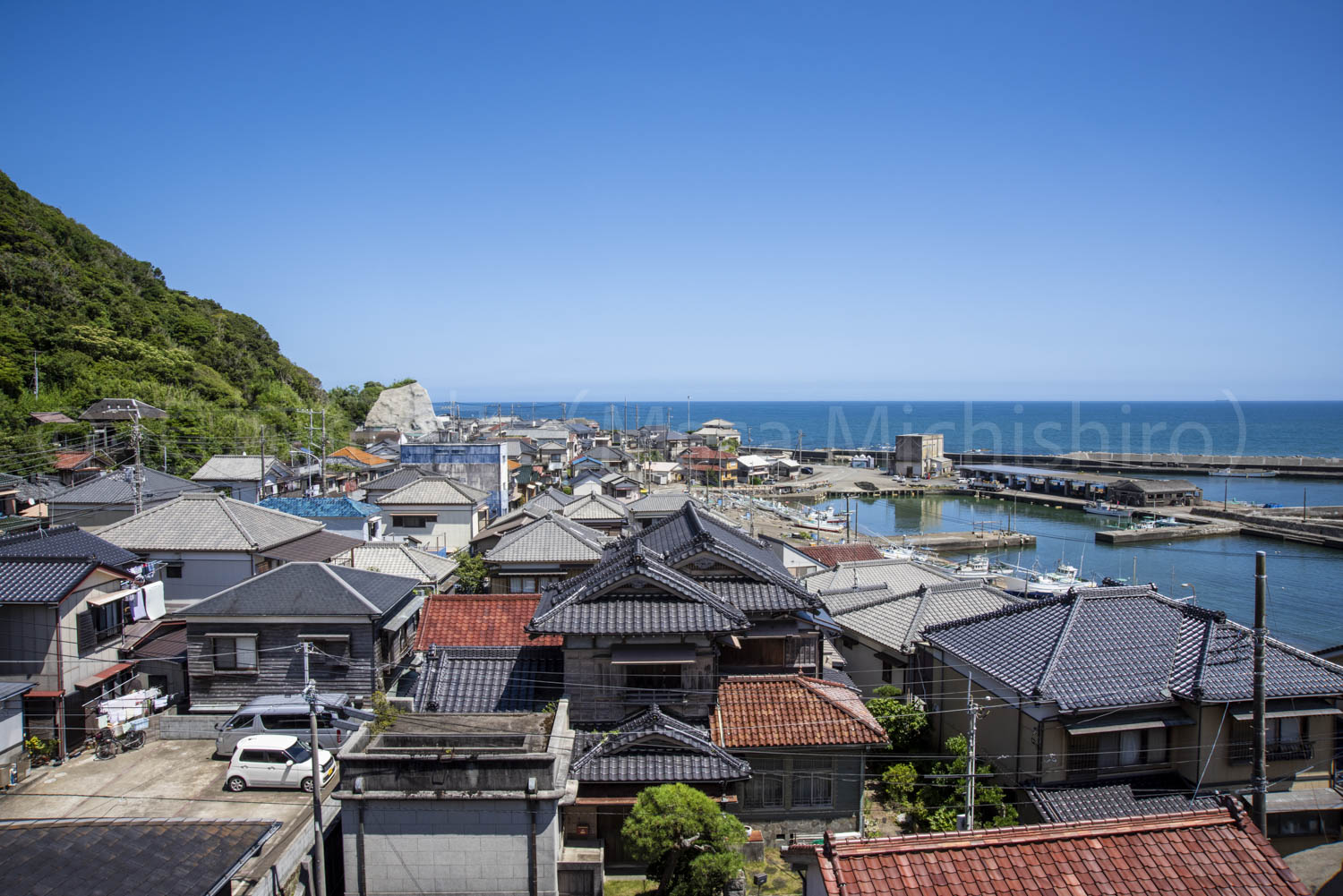 動物愛護団体もいない静かな漁師町