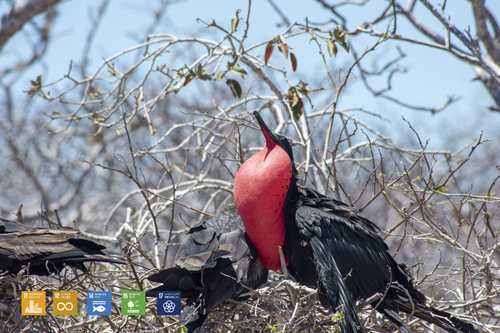 そこに行かないと見られない価値【2020/10/23】