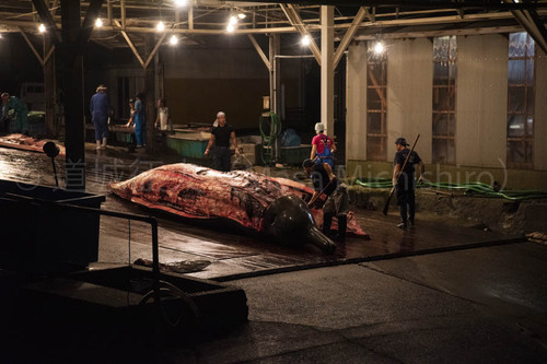 和田浦（千葉外房）を訪れて【2021/7/25】