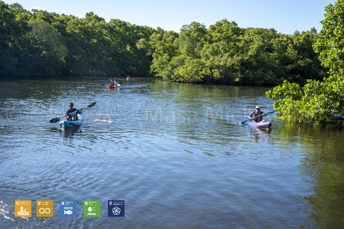 マイクロクリーンアップキャンペーン継続【2020/5/28】