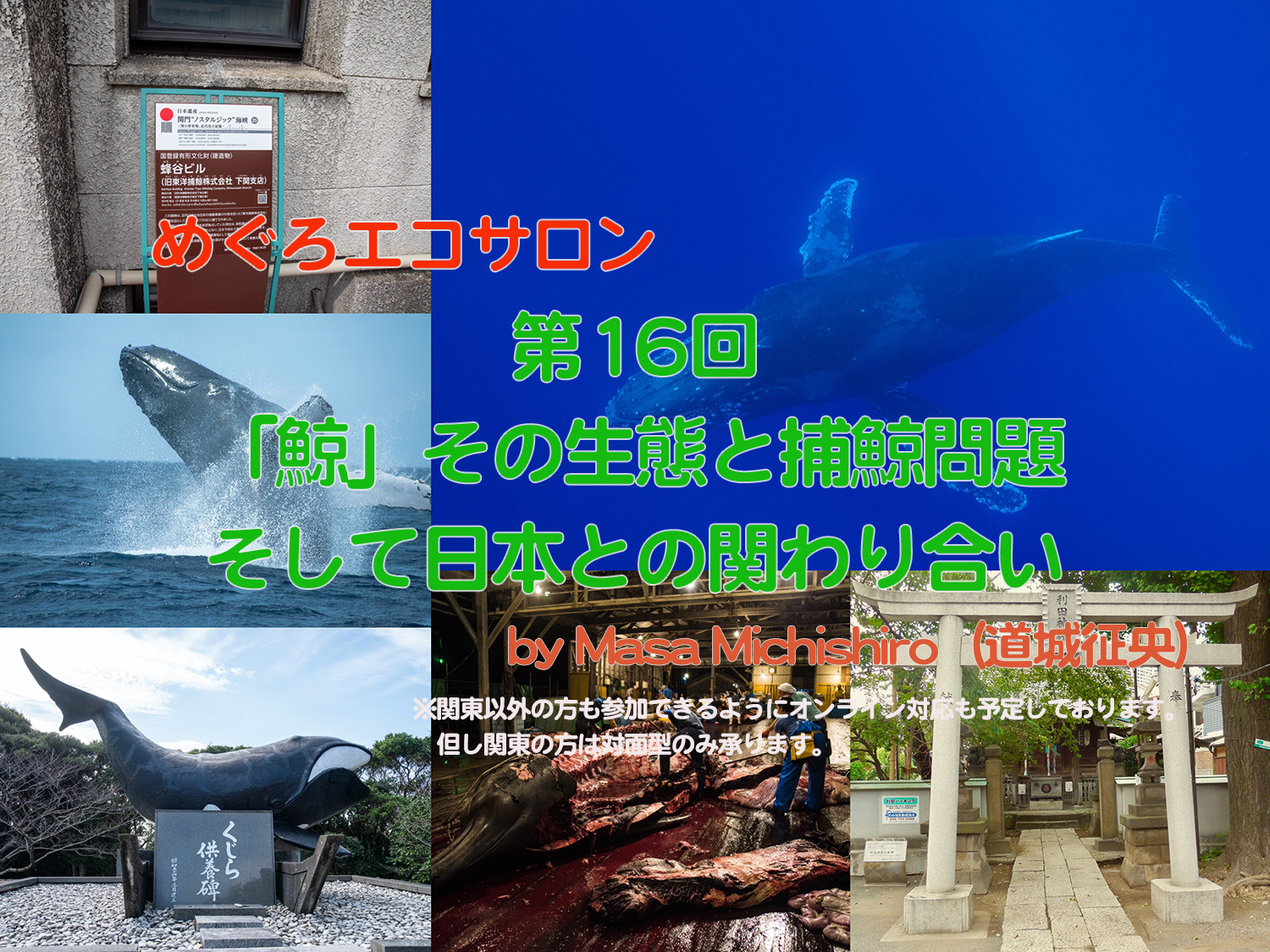 6月の『めぐろエコサロン』の案内