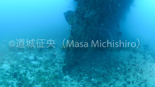 ミクロネシアのチューク諸島に沈む富士川丸のスクリュー［動画］