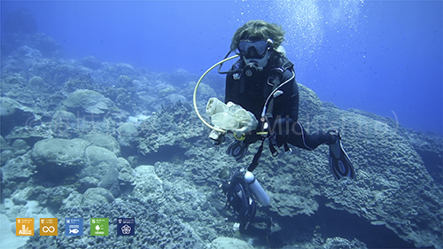 コスラエ島では海の中も