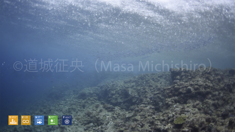 雨の水中、真栄田岬より［動画］