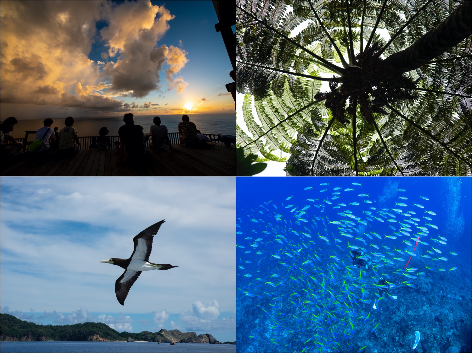 小笠原諸島へ【2020/9/19】