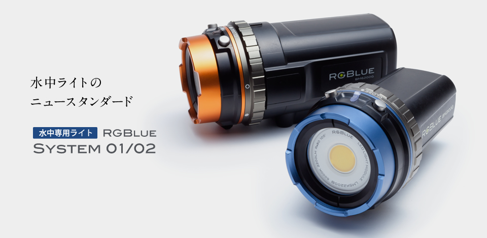 セブ島ツアー・RGBlue（アールジーブルー）協力決定【2014/12/29】