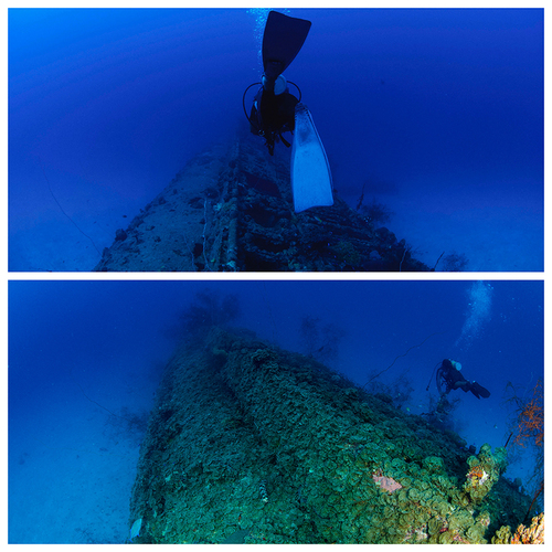 8年前と今の伊169【2019/2/14】