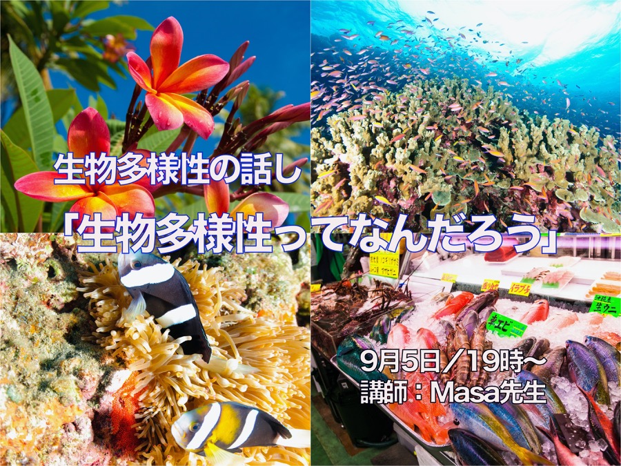 子供向けオンラインセミナーを開始します【2020/8/31】