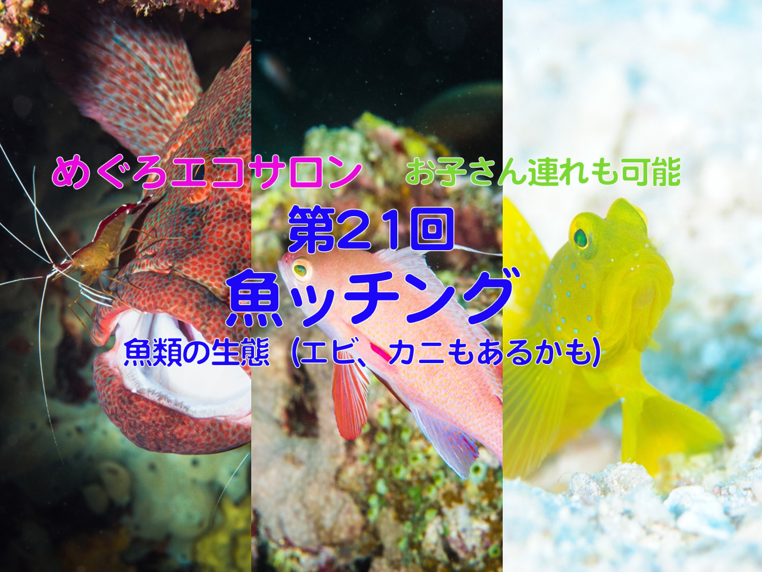 2月開催の『めぐろエコサロン』の案内
