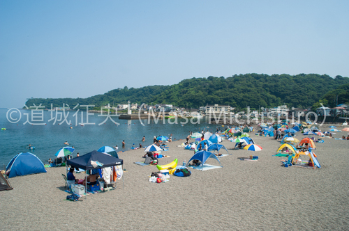 川奈のいるか浜から思うこと